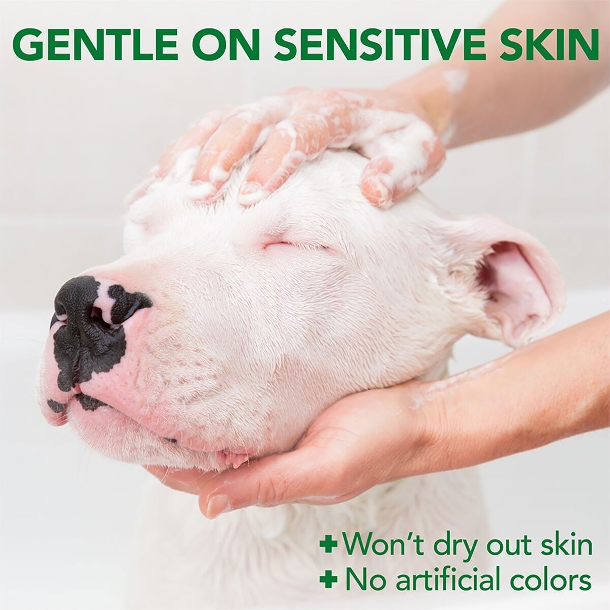 Vet's Best Allergy itch Shampoo 500ml