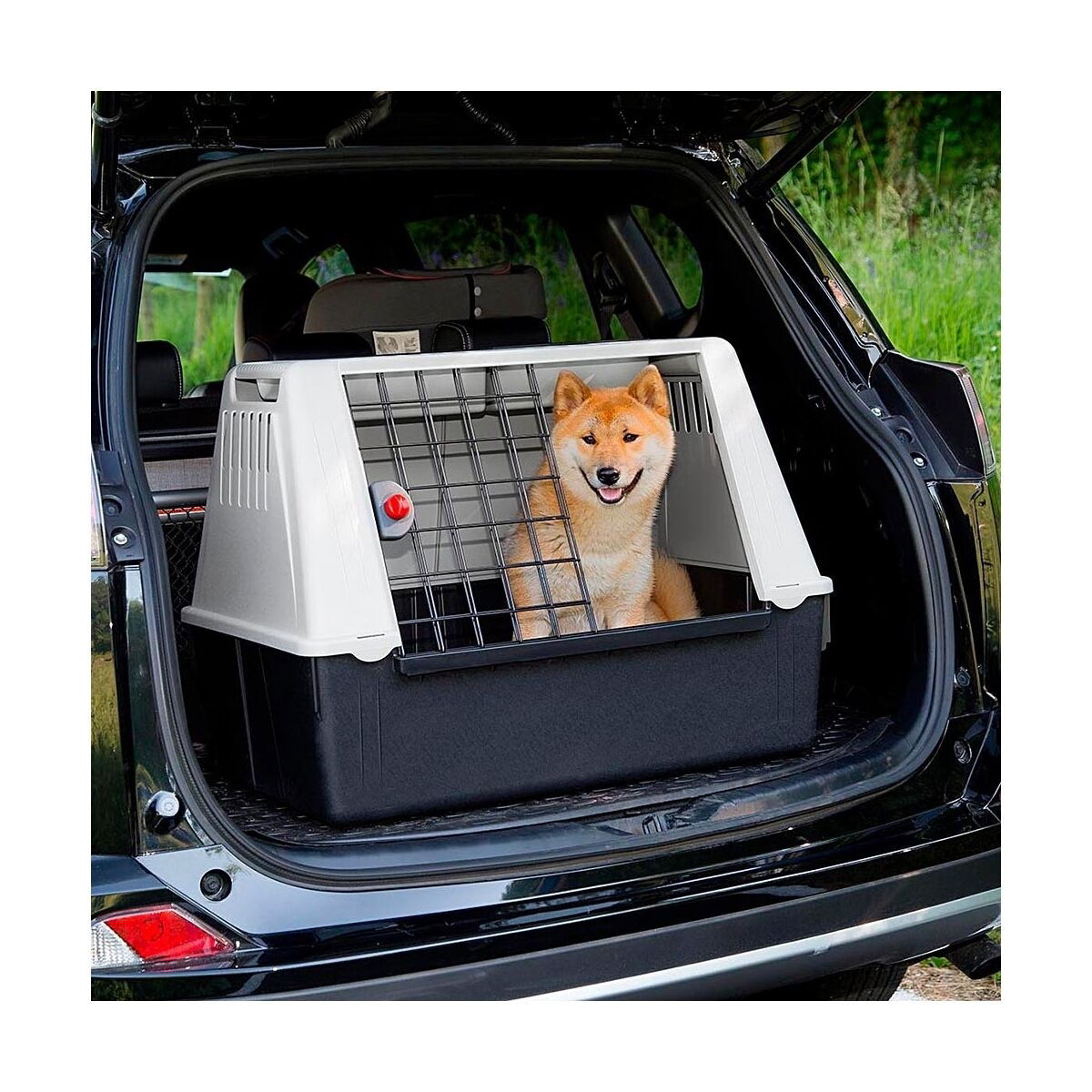 Transportbur til bil Atlas