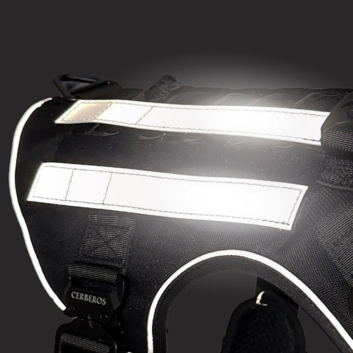 Cerberos Side Reflectors Pair