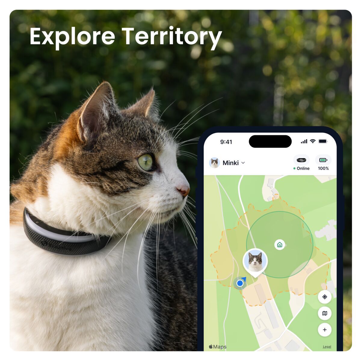 Tractive CAT 6 Mini – GPS Tracker & Health Monitor