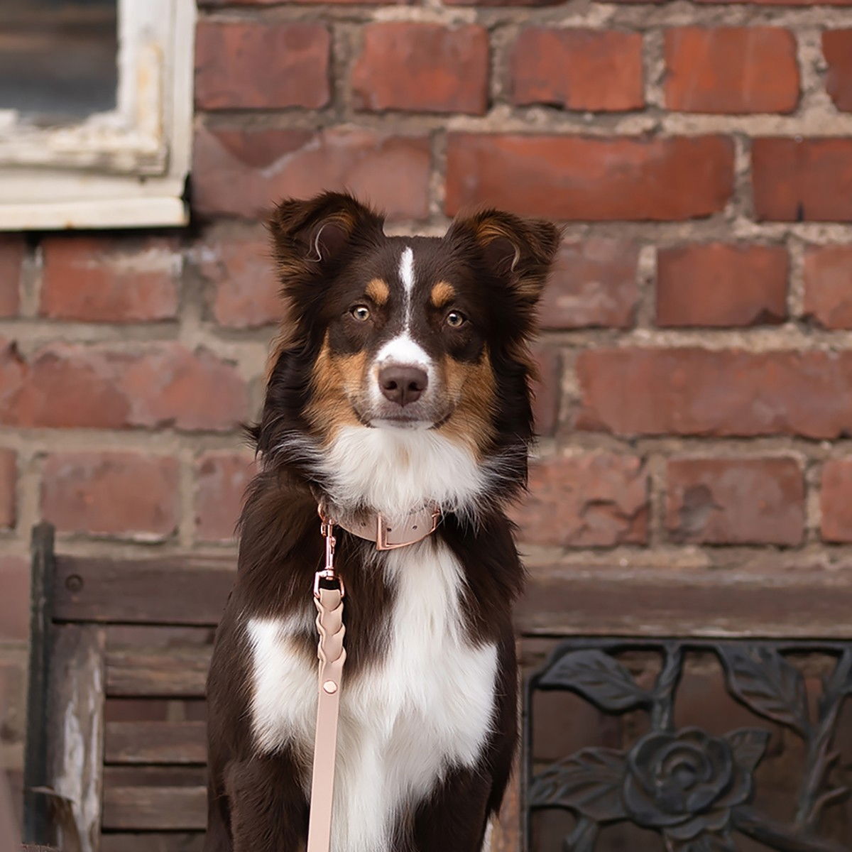 Tyylivoitto Classy collar, nude