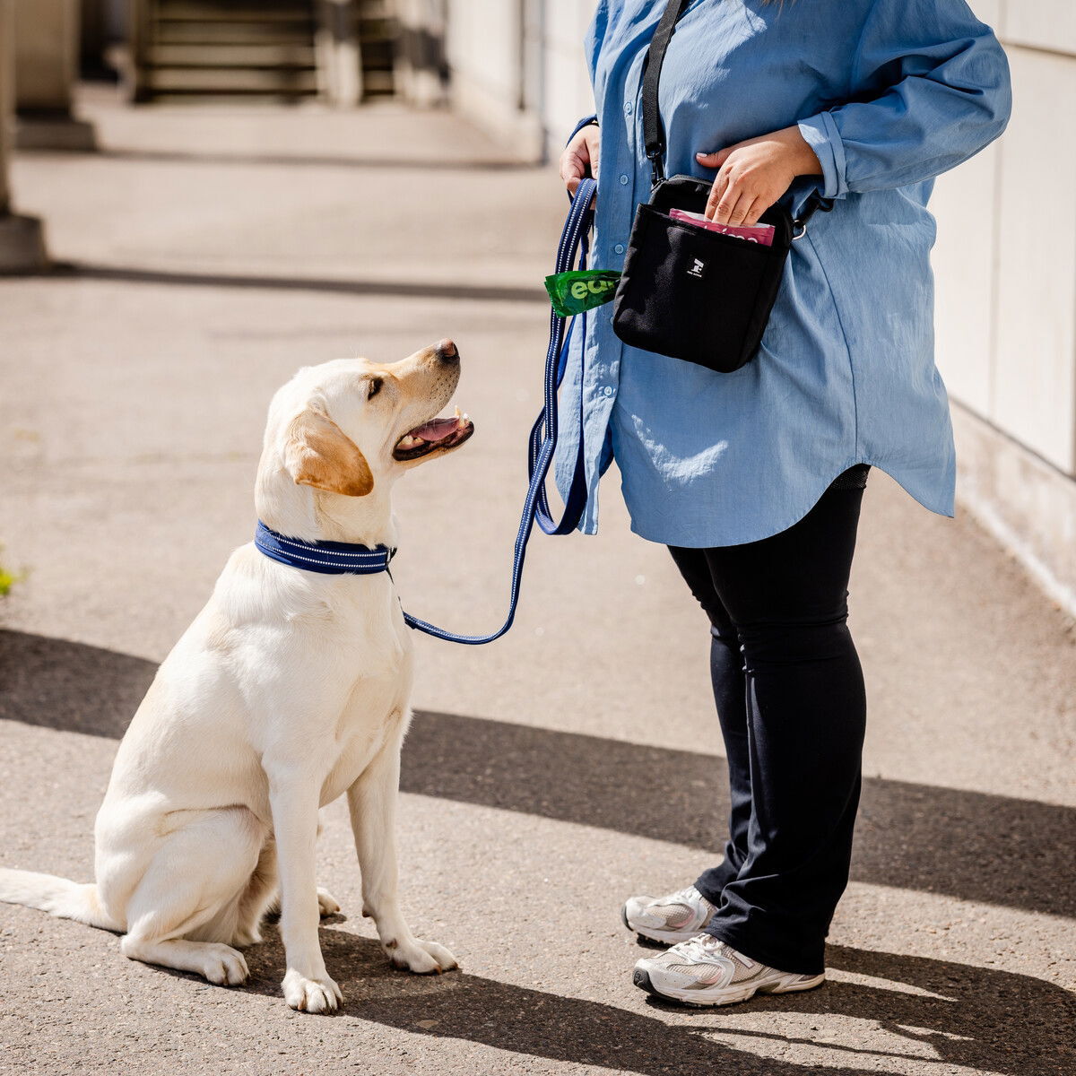 Feel Active Treat bag City black
