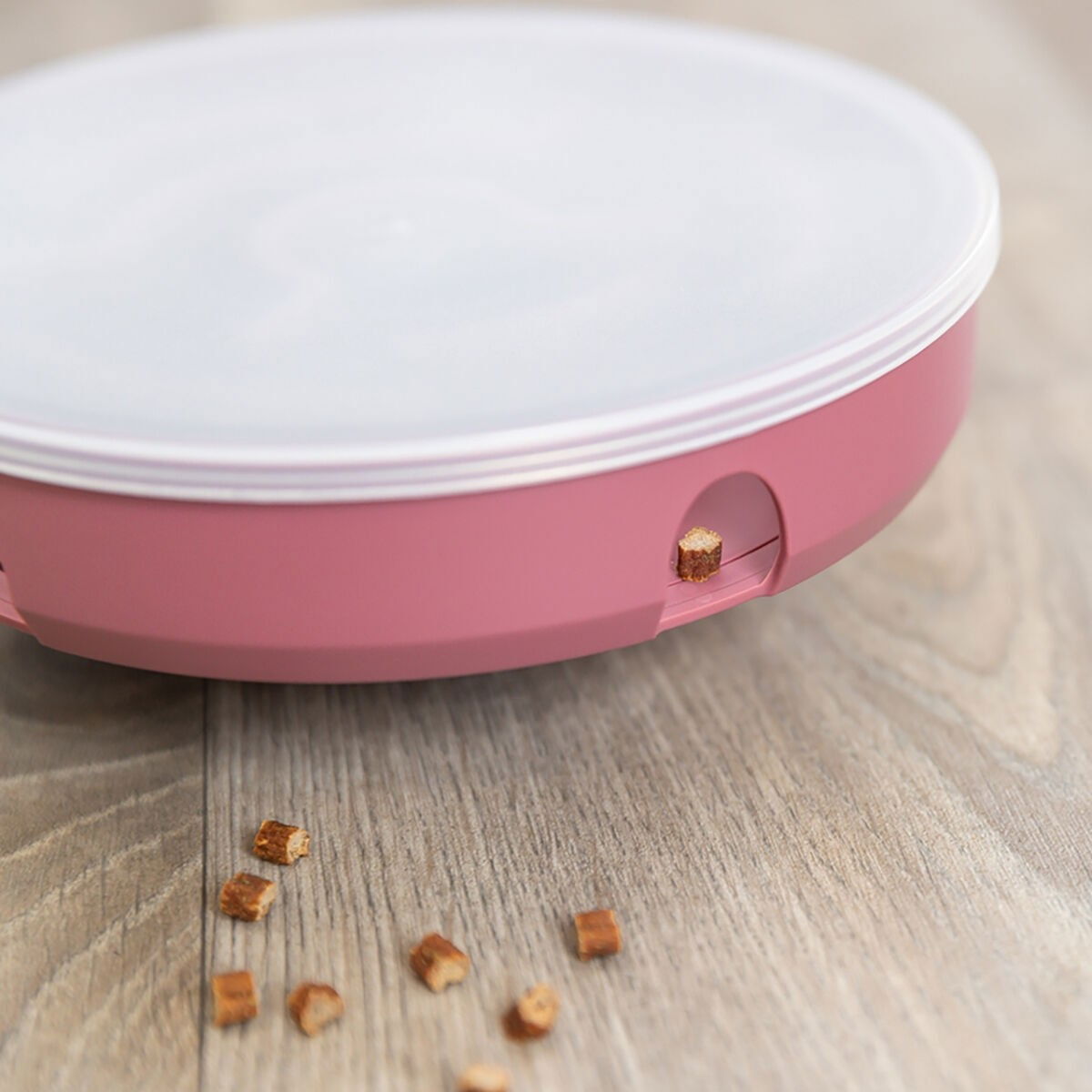 Trixie Cat Activity Rocking Maze