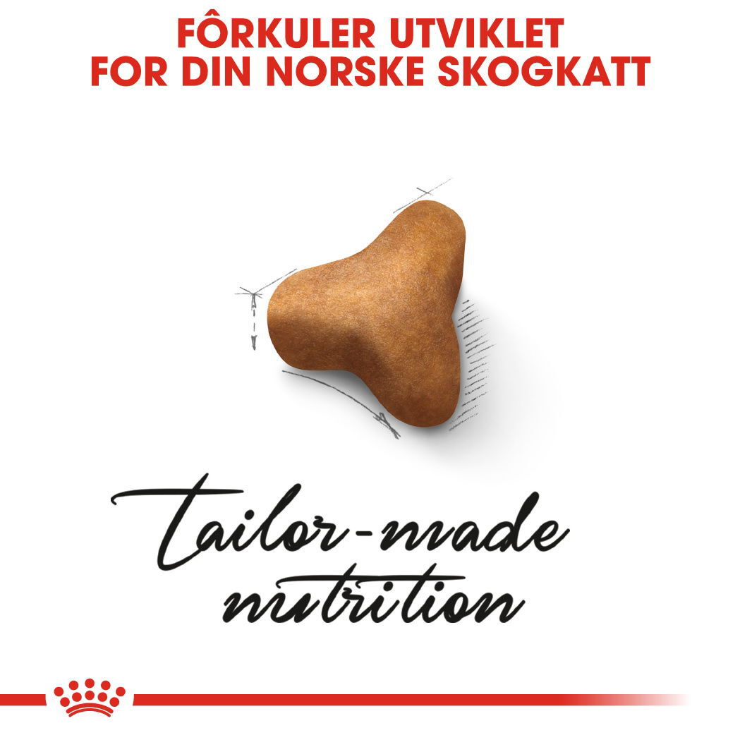 Royal Canin Norwegian Forest Adult tørrfôr til katt