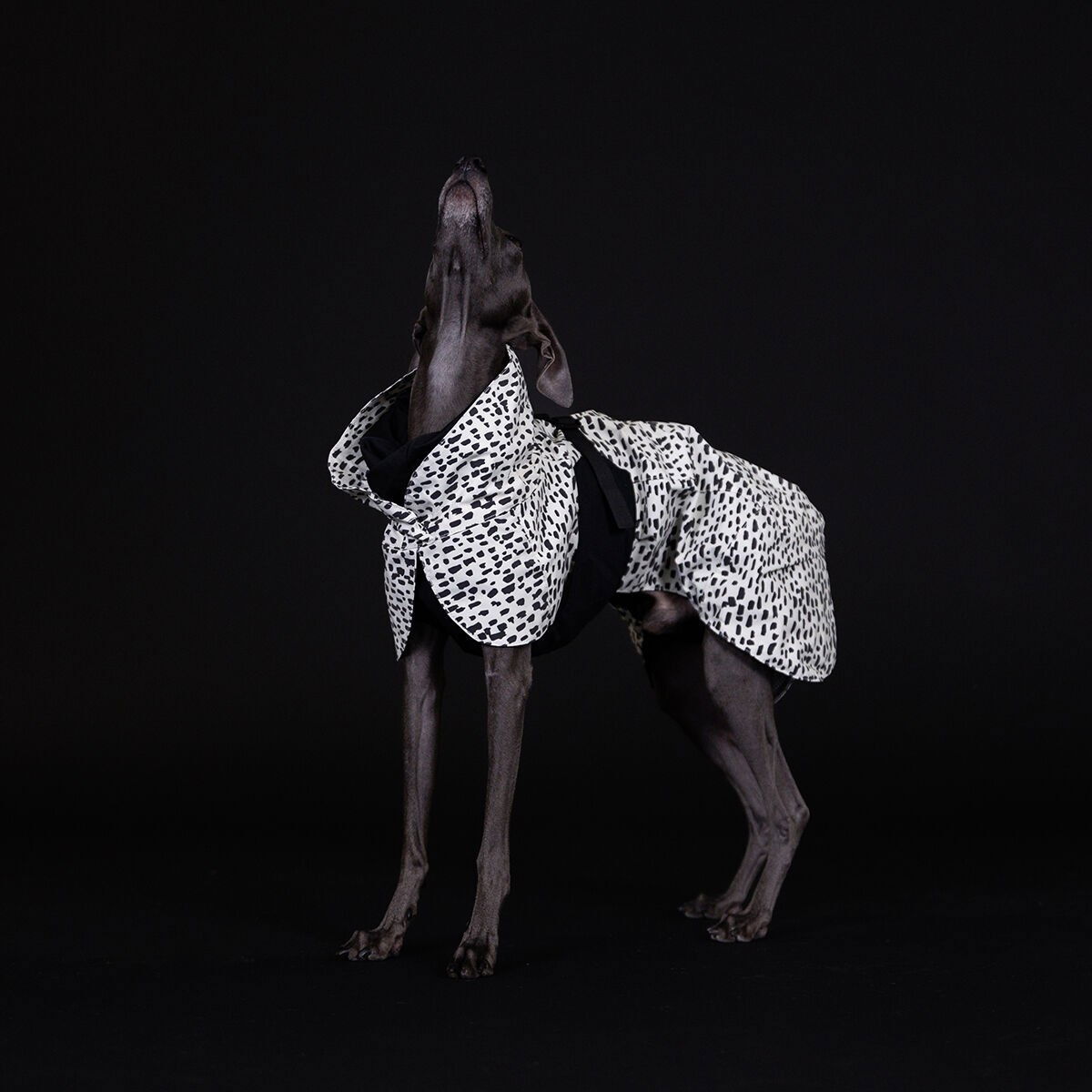 PAIKKA Raincoat 2.0