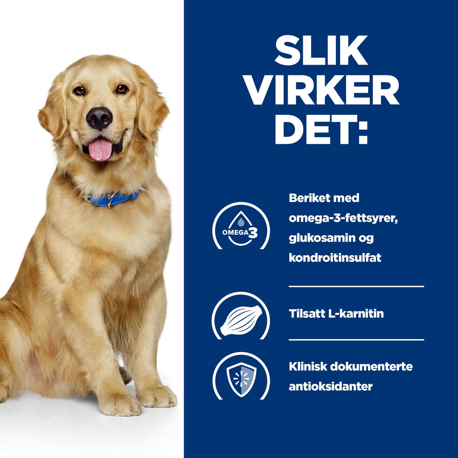 Hills Diet Dog j/d 2kg