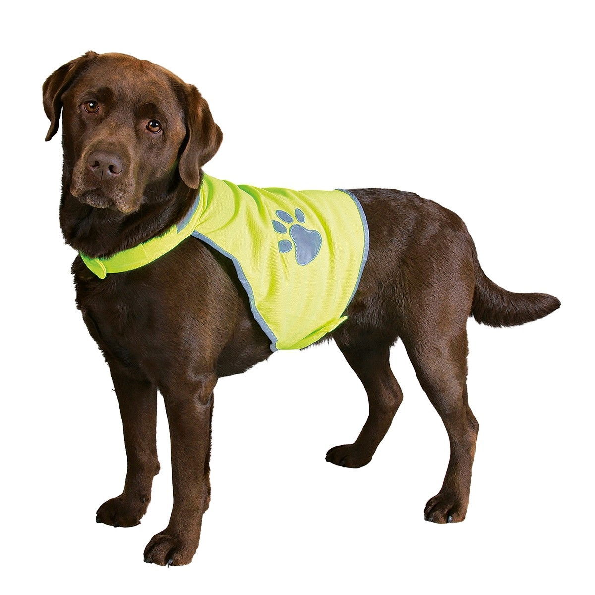 Trixie Refleksvest