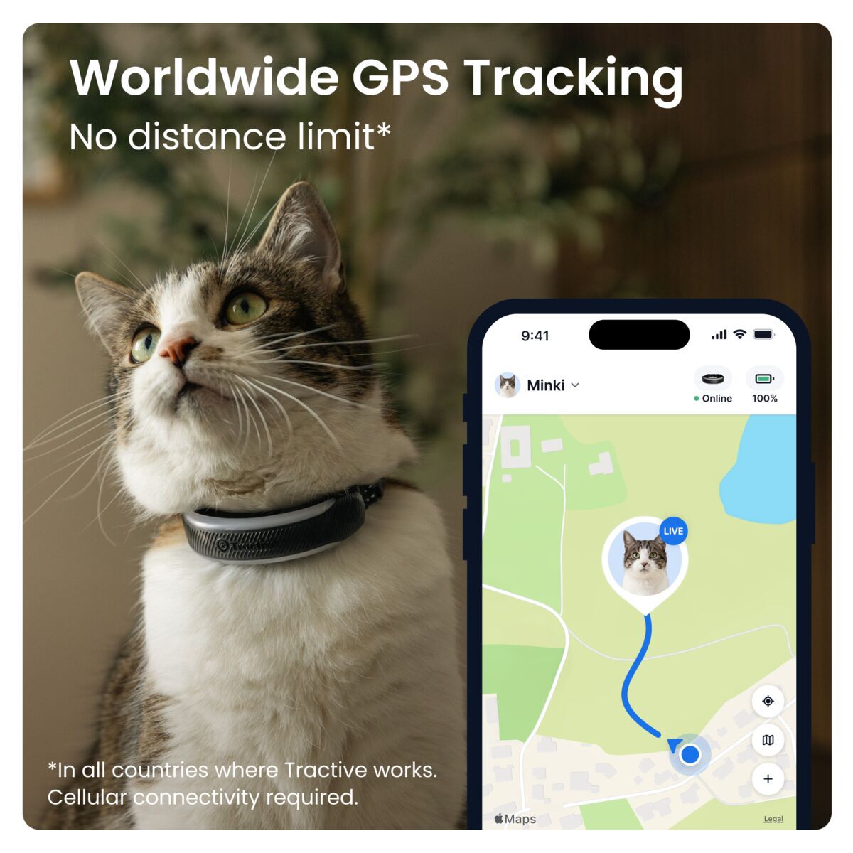 Tractive CAT 6 Mini – GPS Tracker & Health Monitor