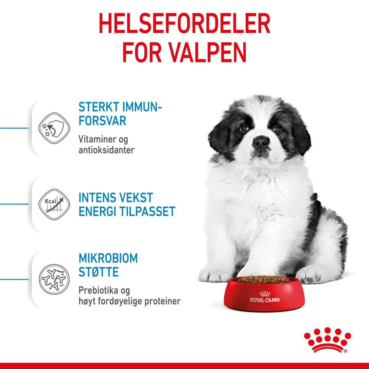 Royal Canin Giant Puppy tørrfôr til valp
