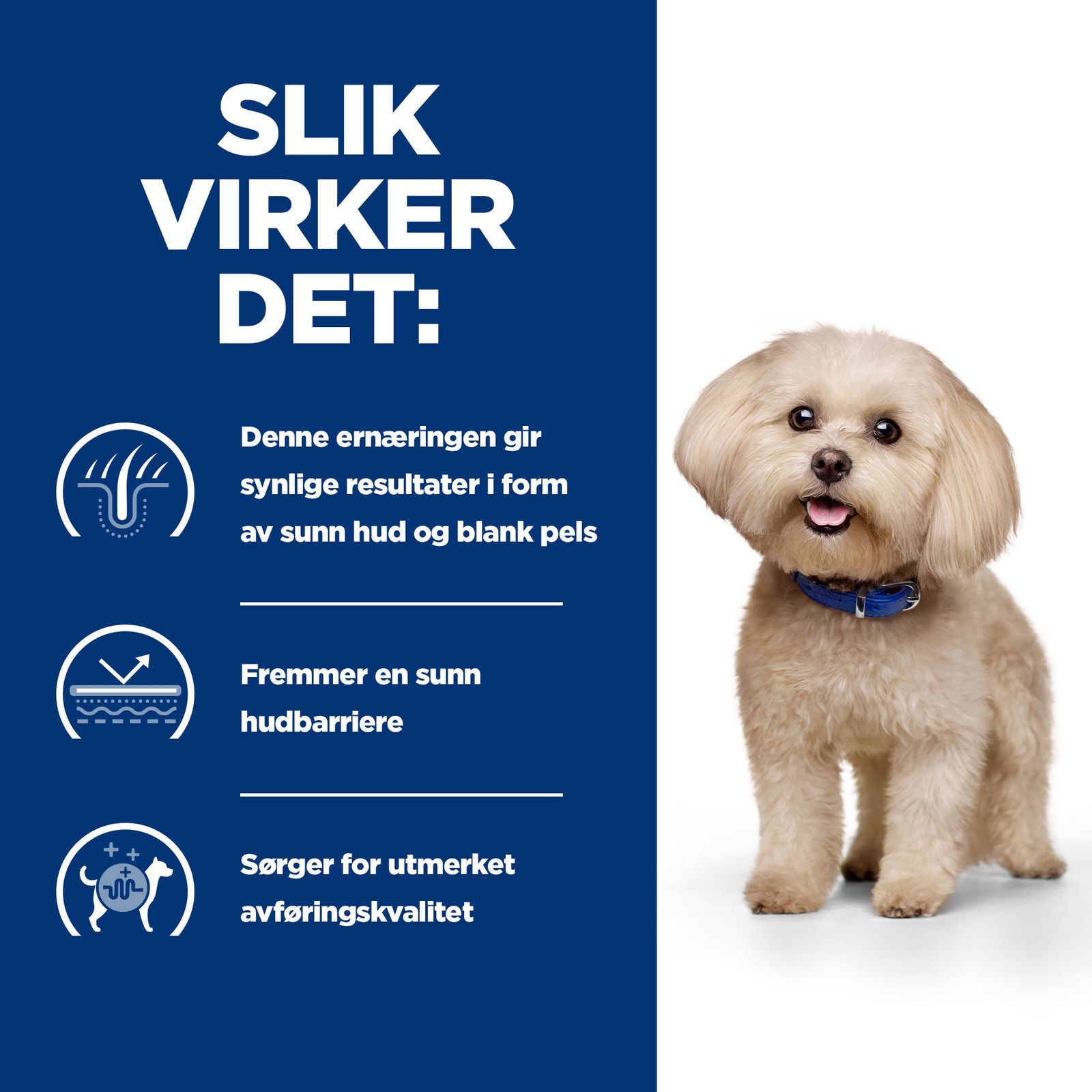 Hill's PRESCRIPTION DIET z/d Mini Dog Food