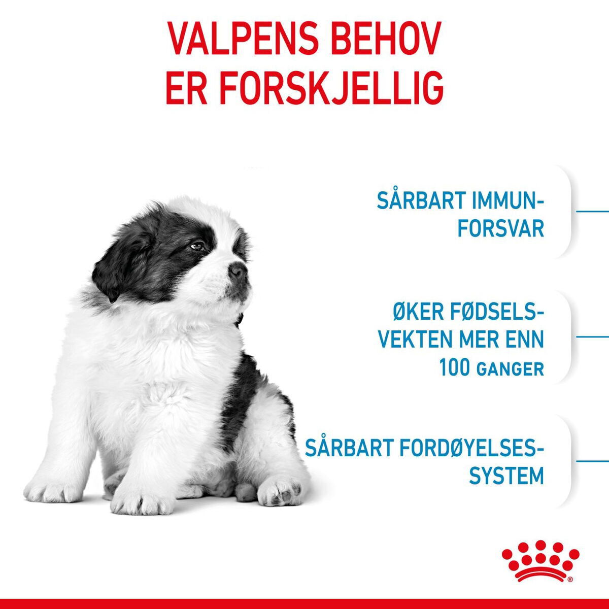 Royal Canin Giant Puppy tørrfôr til valp