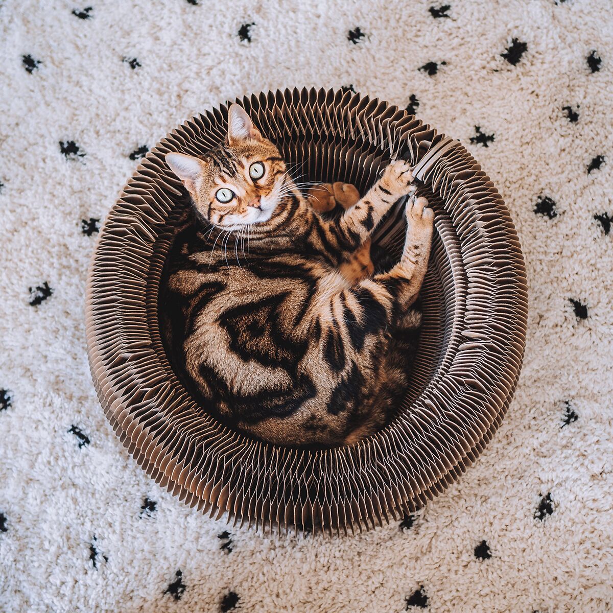 Cat bed District 70 Maze