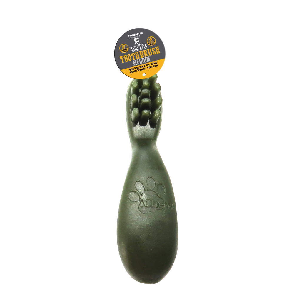 Rosewood Daily Eats Toothbrush
