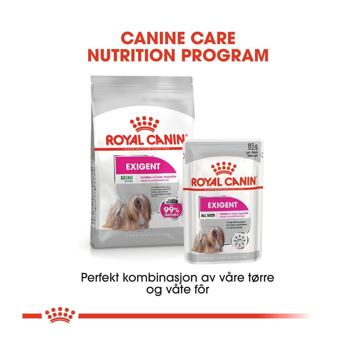 Royal Canin Mini Exigent