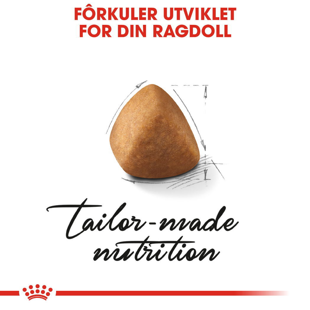 Royal Canin Ragdoll Adult tørrfôr til katt