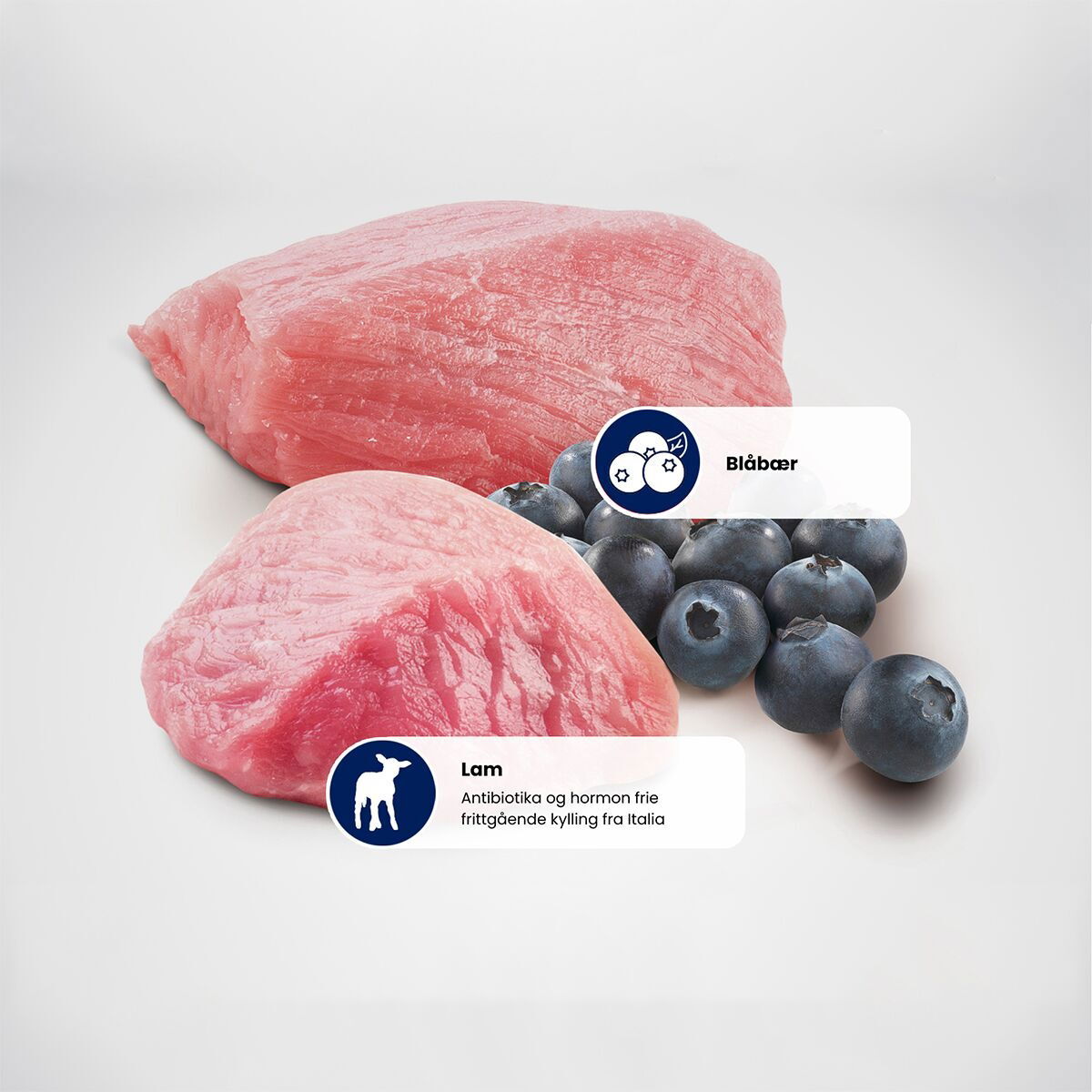 N&D Prime Cat Lamb&Blueberry 70g