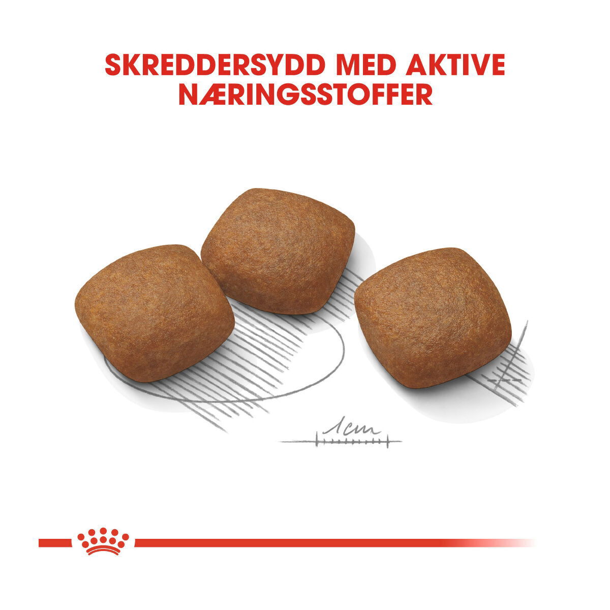 Royal Canin Maxi Joint Care