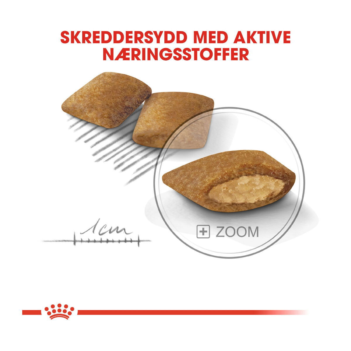 Royal Canin Mini Exigent