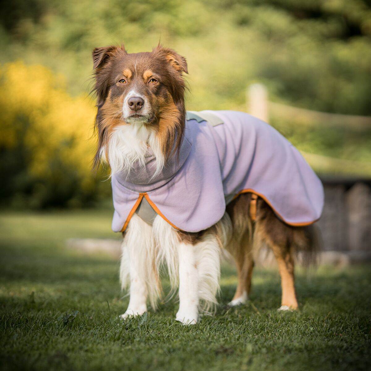 Woolly Wolf Alpha 360 Fleece pullover, Lavender Mix