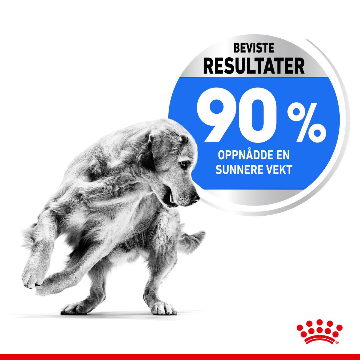 Royal Canin Light Weight Care Maxi Adult tørrfôr til hund