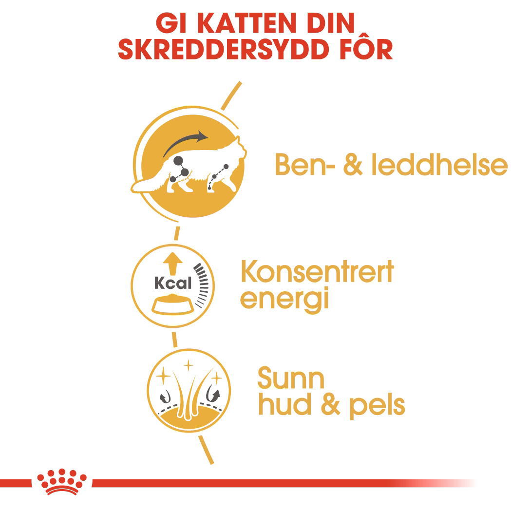 Royal Canin Maine Coon Adult Gravy våtfôr til katt