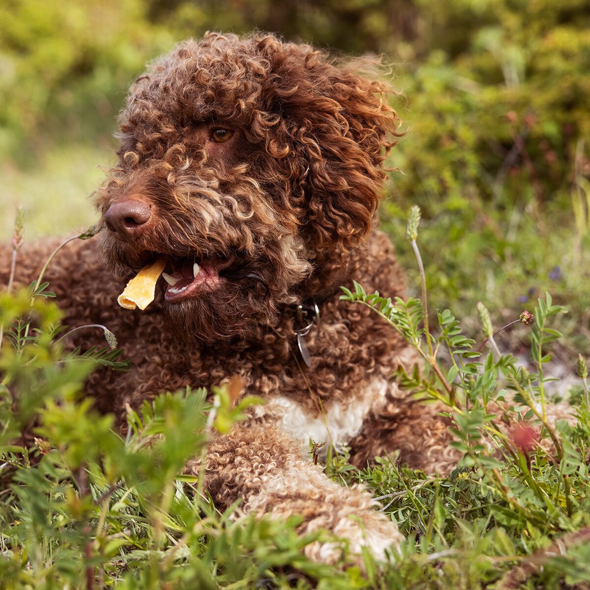 ESSENTIAL Skin Delights 200g