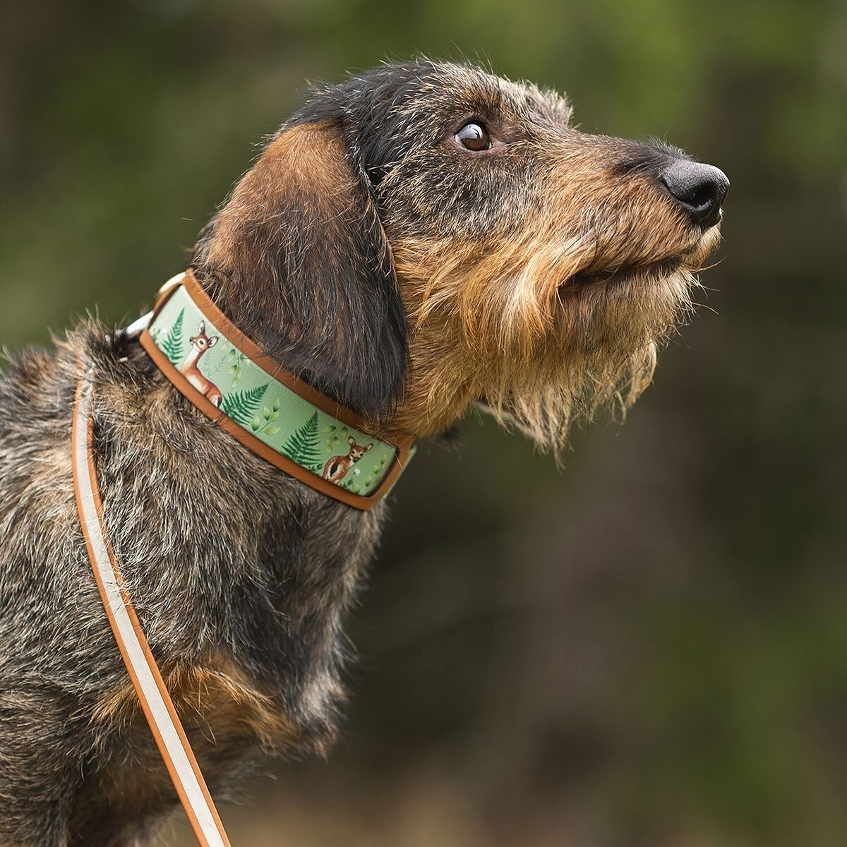 Tyylivoitto Shine Eazy leash, cognac