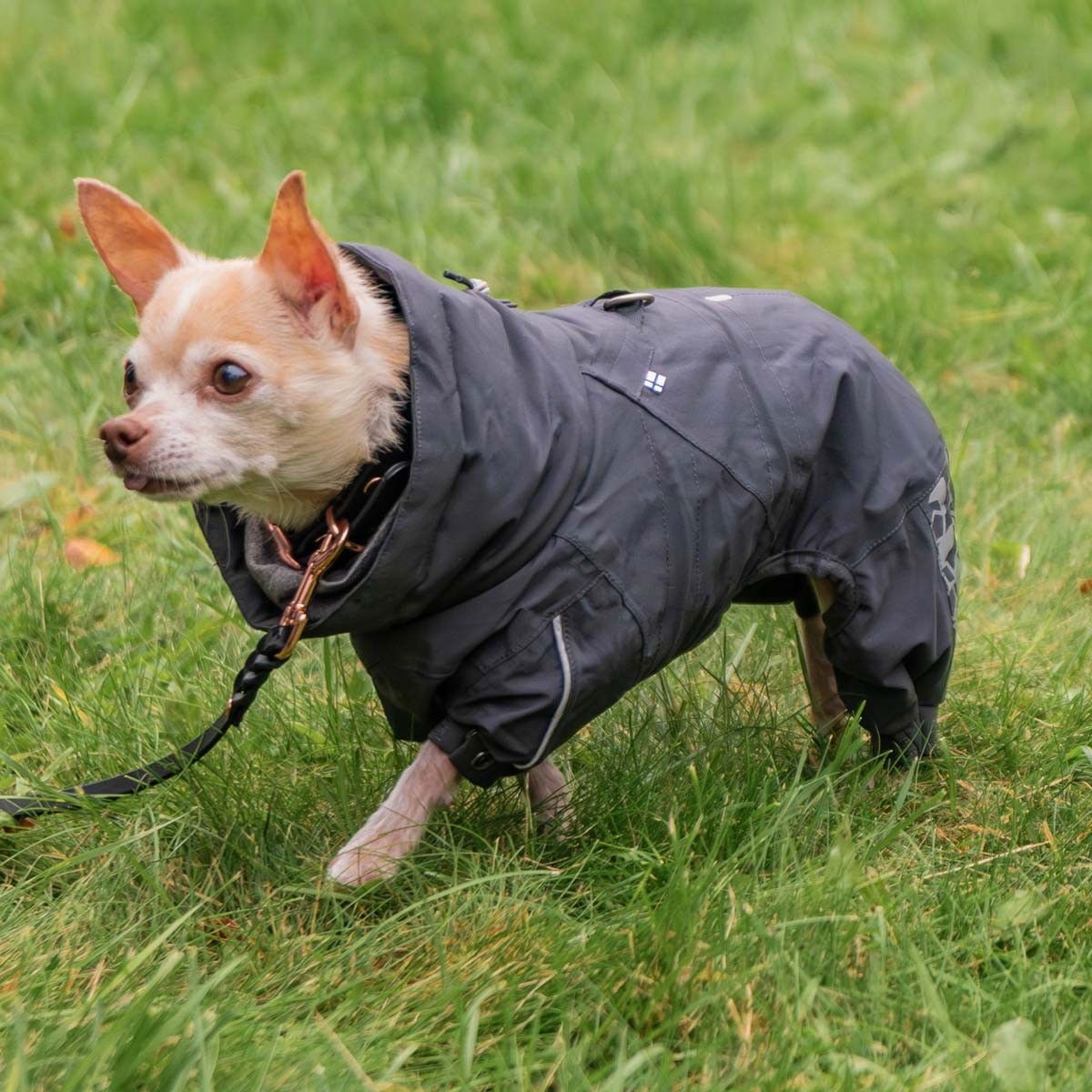 Hurtta Extreme Overall blackberry 35S