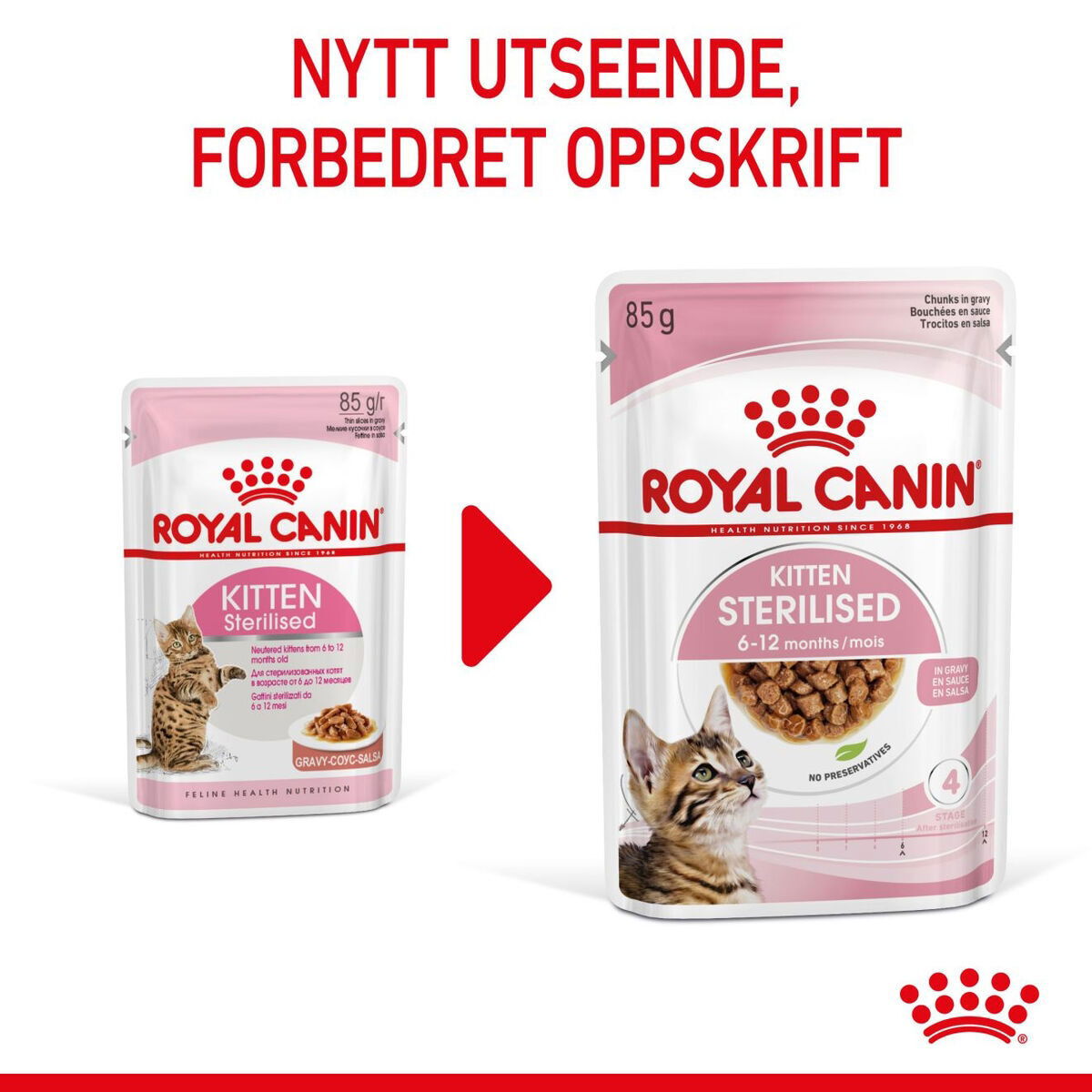 RC FHN Kitten Sterilised Gravy 12x85g 