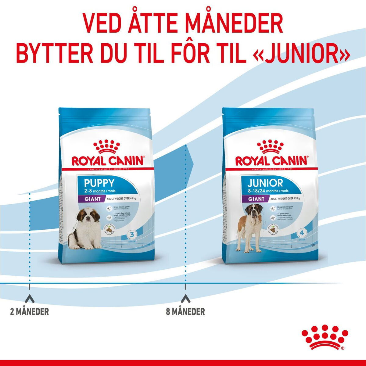 Royal Canin Giant Puppy tørrfôr til valp