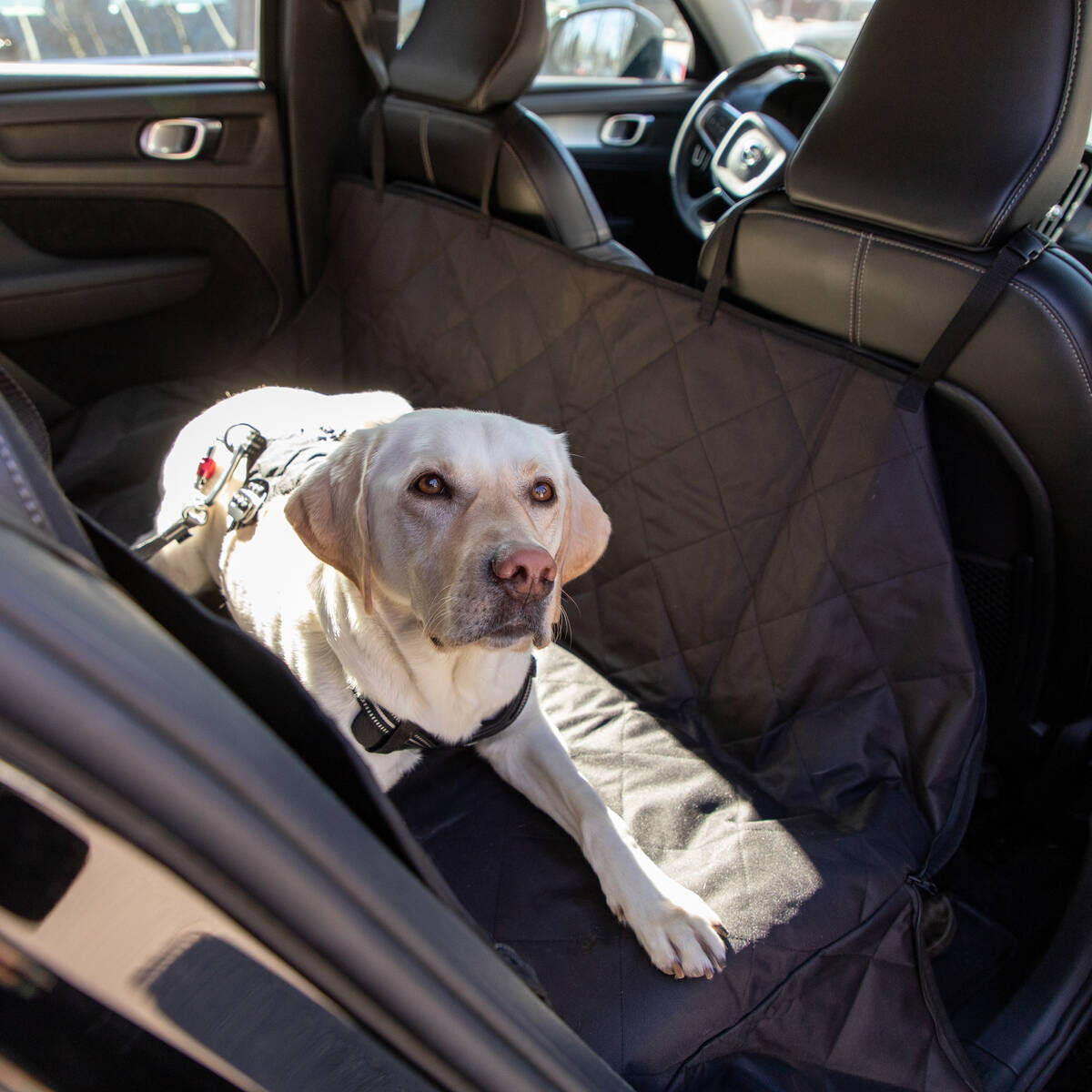 Feel Active Car Cover Hammock for seat or trunk waterproof black 144 x 136 cm