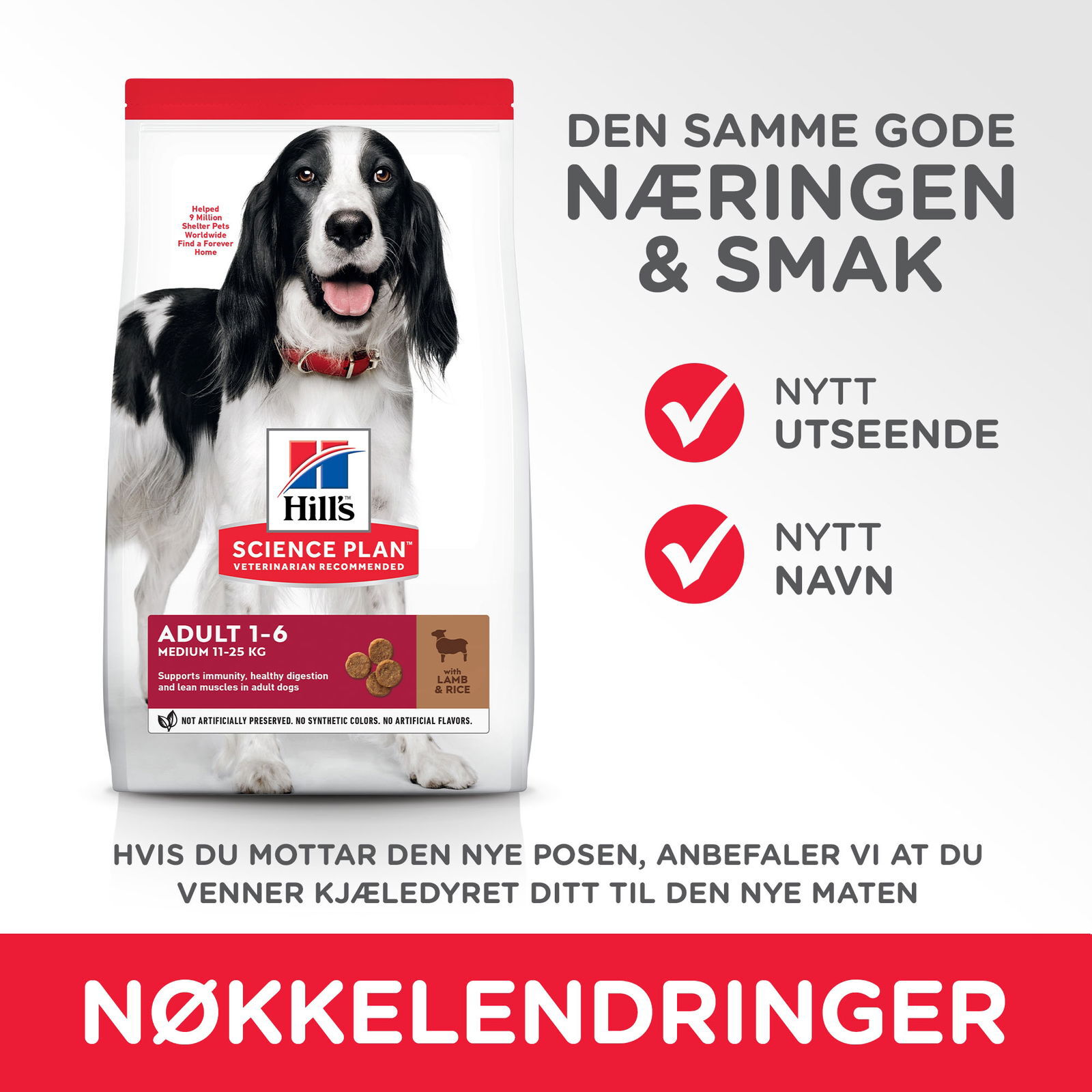 Hill's Science Plan Dog Adult Lamb & Rice