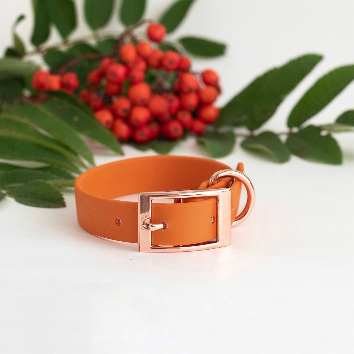 Tyylivoitto Classy collar narrow, burnt orange