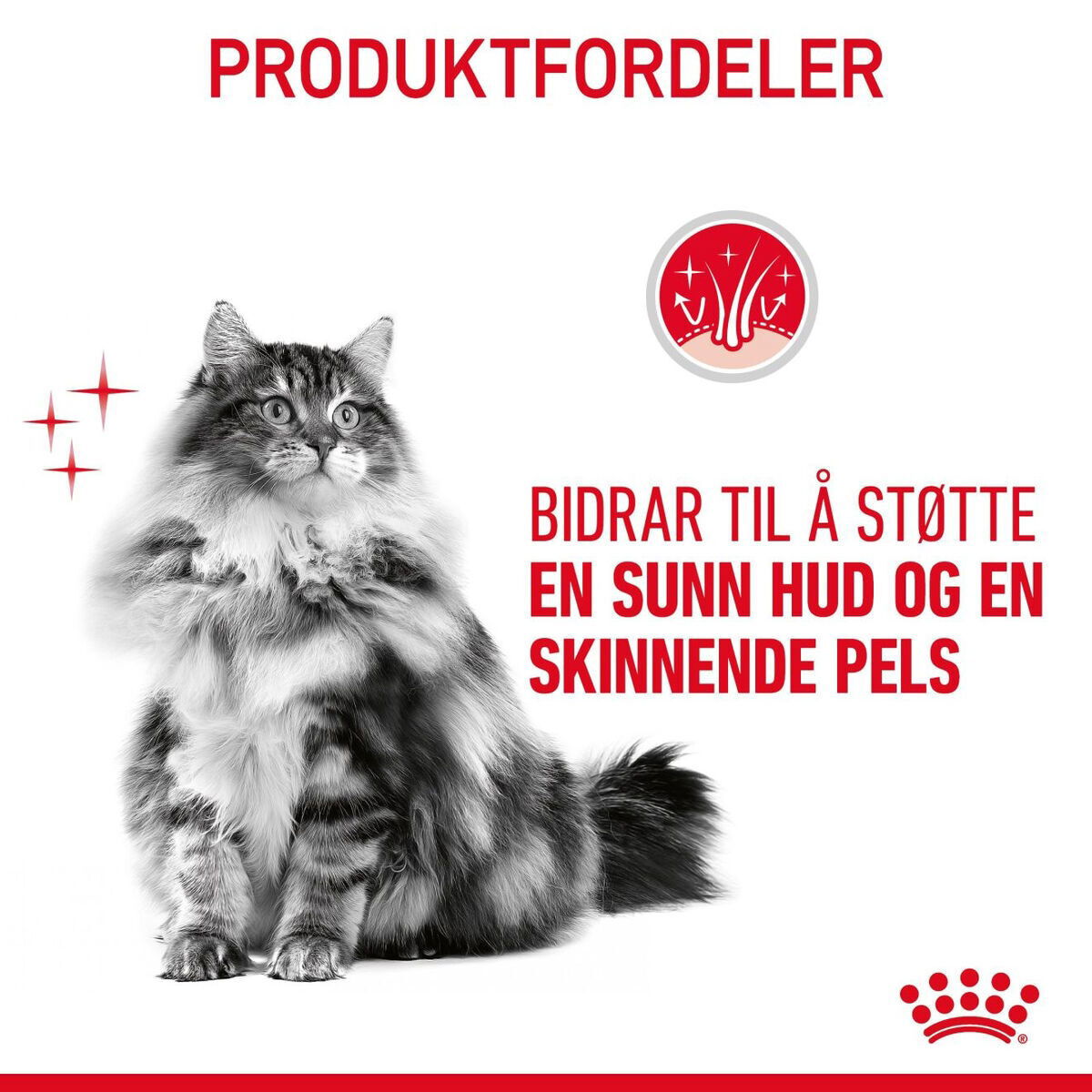 Royal Canin Hair & Skin Care Adult tørrfôr til katt