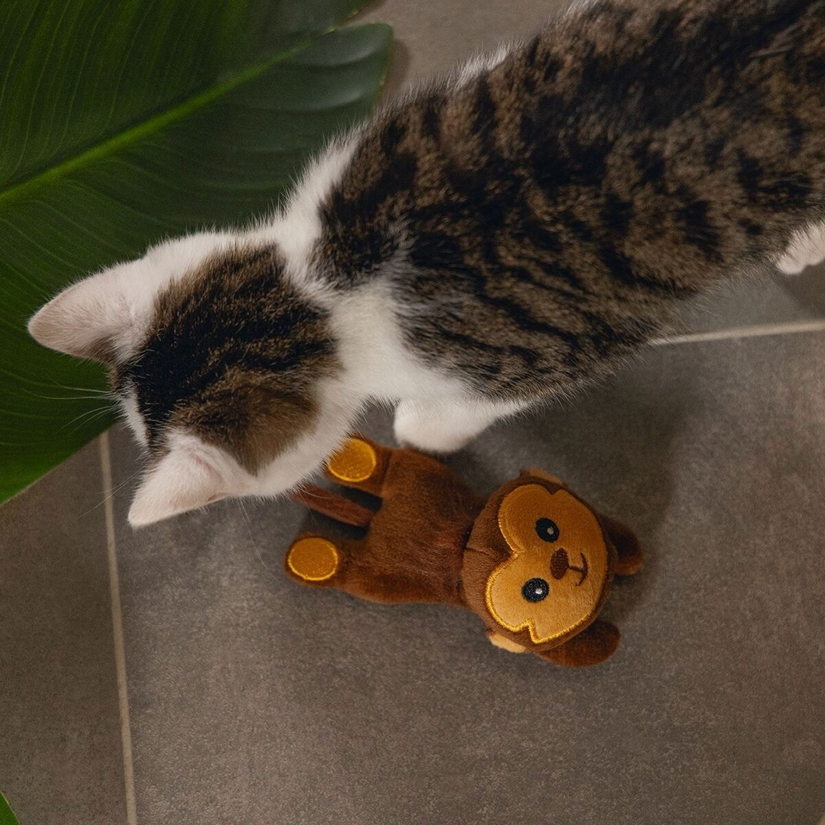 Beeztees Jungle Cat Matatabi Monkey