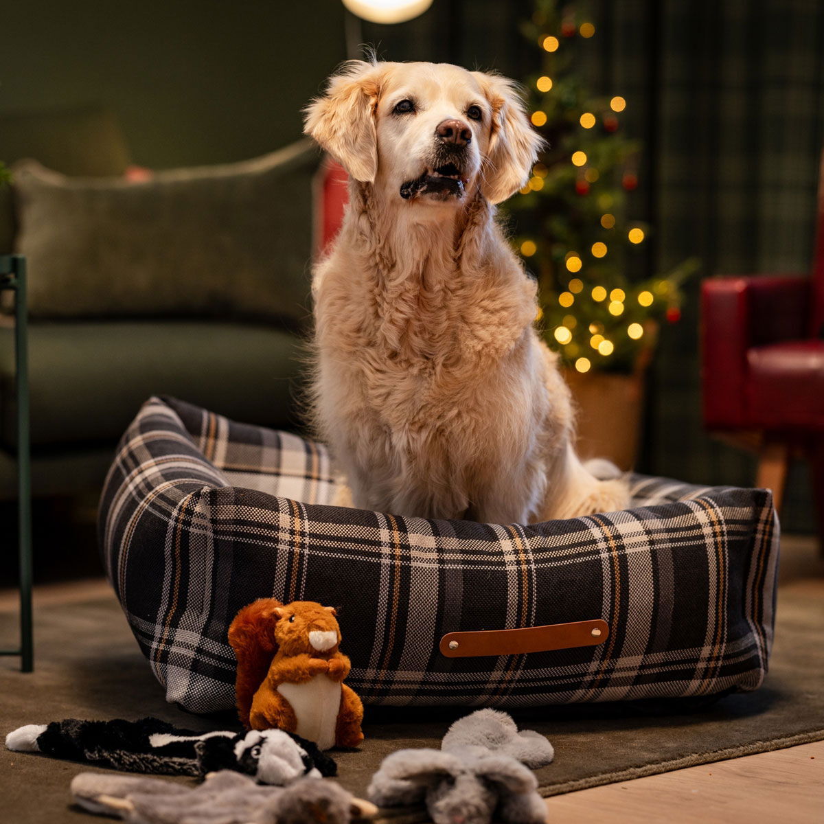 Little&Bigger Woodland Friends Squirrel