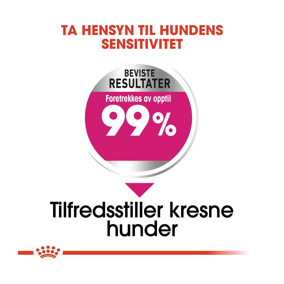 Royal Canin Mini Exigent
