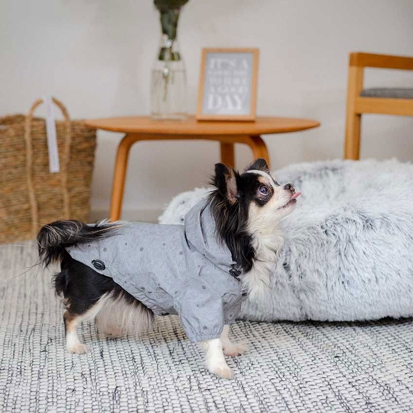 ItsyBitsy Typhoon rainhoodie reflective