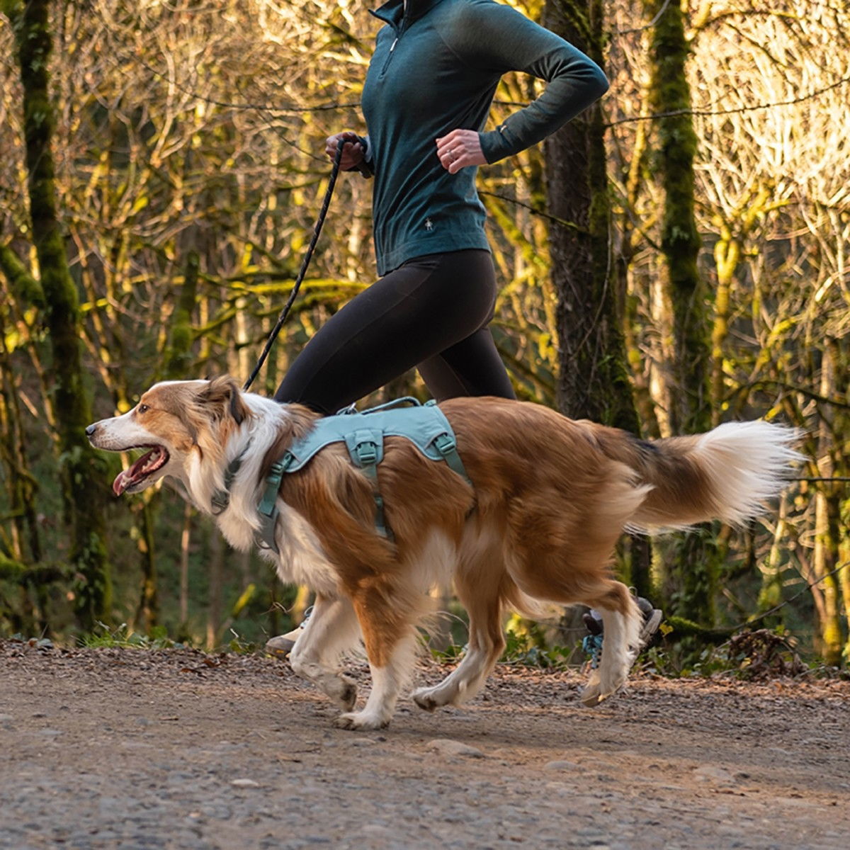 Ruffwear Web Master harness, River Rock Green