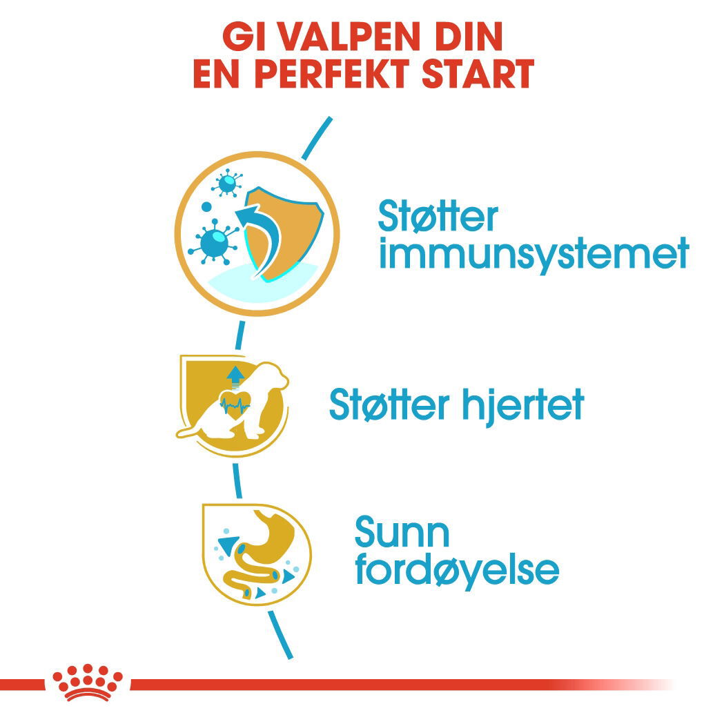 Royal Canin Cavalier King Charles Puppy tørrfôr til hundvalp