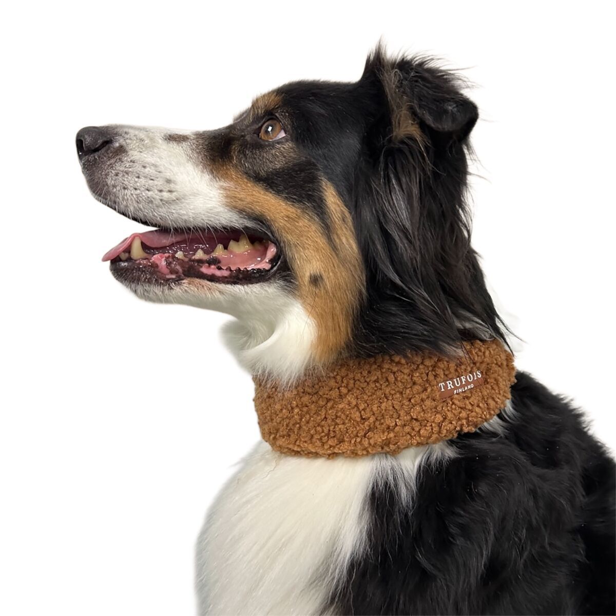 Trufois Wide Collar Chocolate Brown