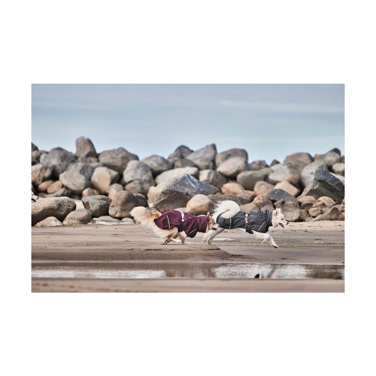 Hurtta Mudventure Coat ECO blackberry