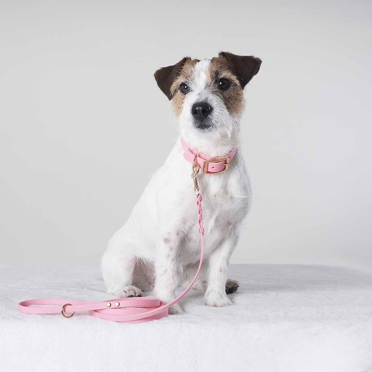 Tyylivoitto Classy narrow collar, light pink