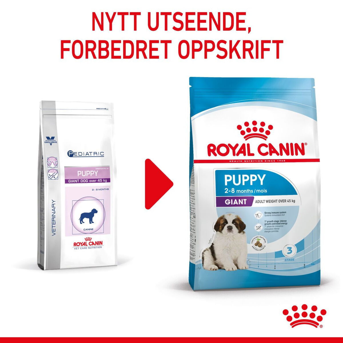 Royal Canin Giant Puppy tørrfôr til valp