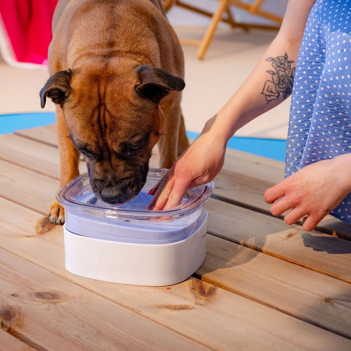 Little&Bigger Non-splash drinking bowl pale blue