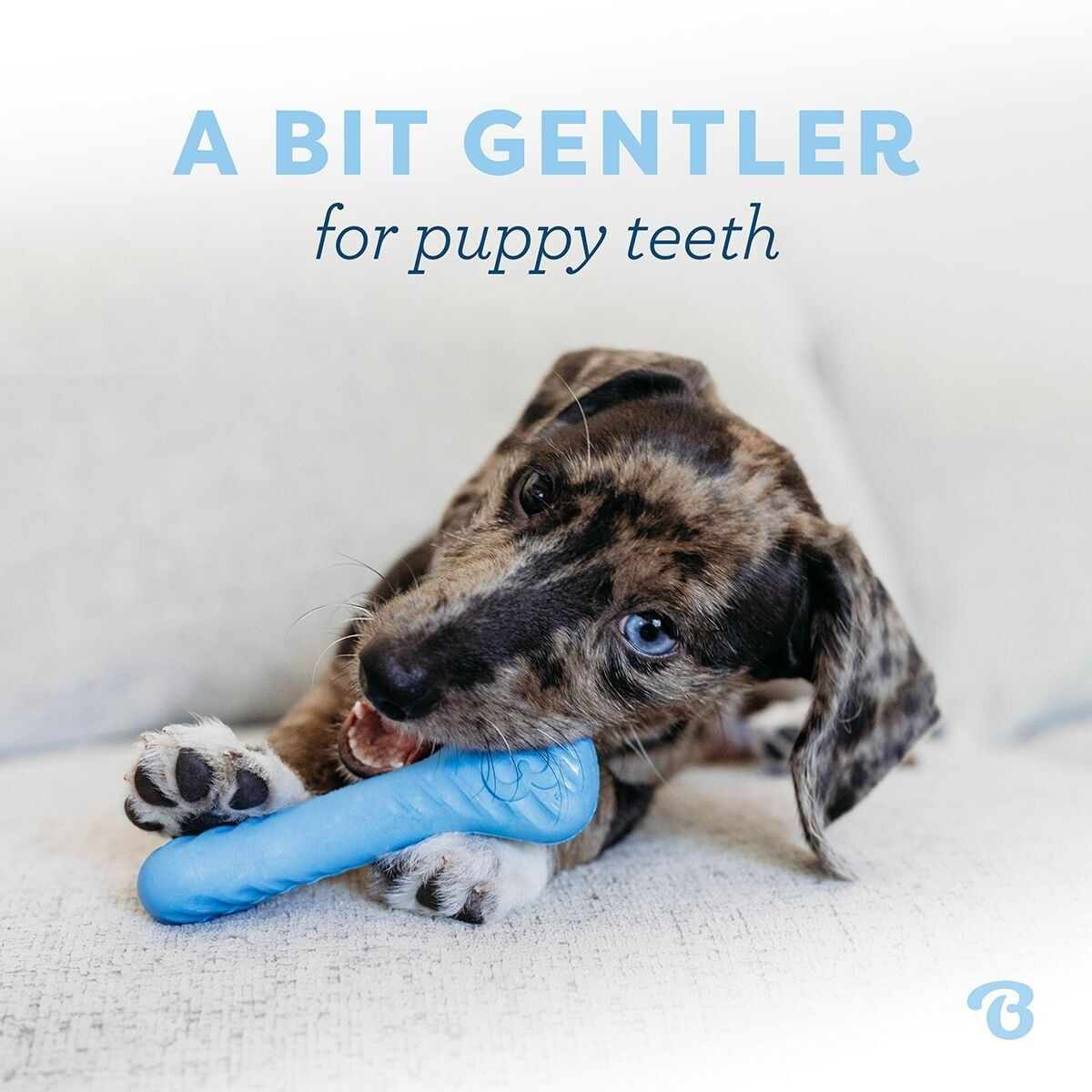 BB Puppy Rubber Bones Bacon Tiny 2pcs