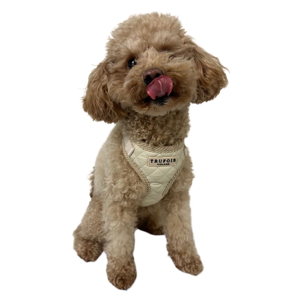 Trufois Lite Harness Latte Beige