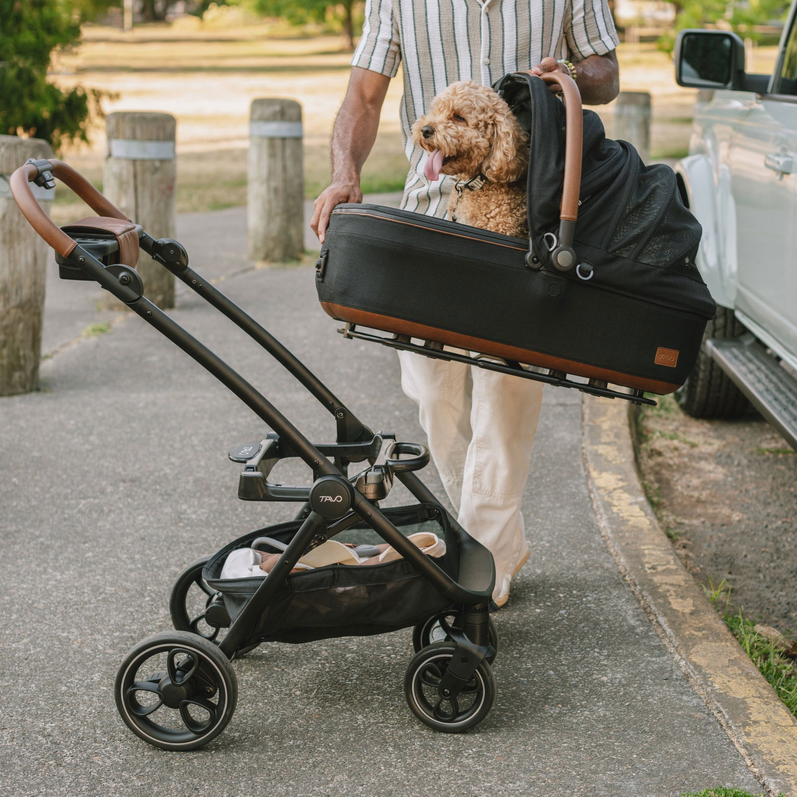 Tavo Roscoe Trek stroller frame
