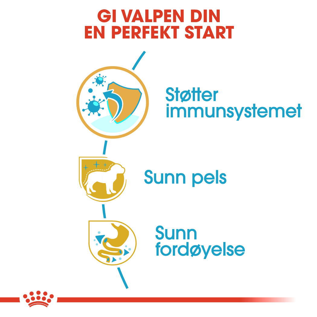 Royal Canin Poodle Puppy tørrfôr til hundvalp