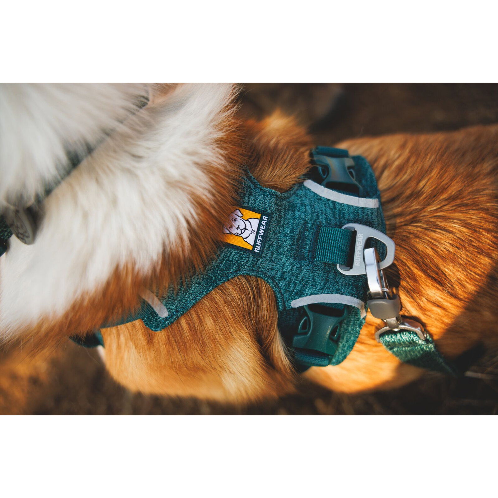 Ruffwear Front Range Flex Harness, Deep Teal